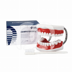 POETSMODEL MET TANDENBORSTEL - TANDENBORSTEL