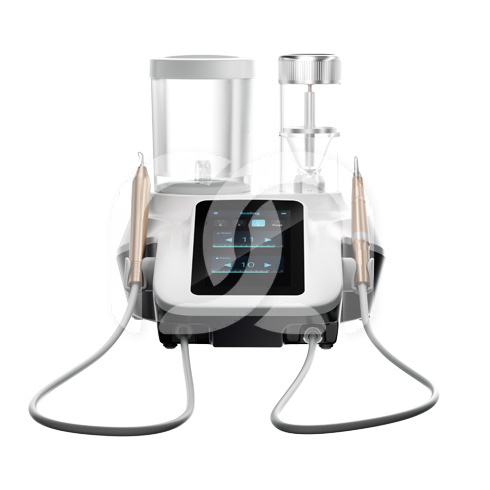 AIRPOLISHER EMS WOODPECKER