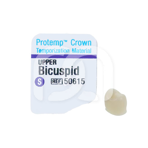PROTEMP CROWN (5)