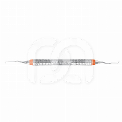 CURETTE GRACEY EVEREDGE 13/14