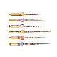 PROTAPER GOLD™ ASSORTIMENT (6) : LONGUEUR:25 MM