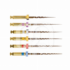 PROTAPER GOLD™ ASSORTIMENT (6)