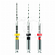 REVERSO SILVER STERILE (6) : ISO:ISO 025, LONGUEUR:21 MM, ROTATION:ALTERN&Eacute;E, CONICIT&Eacute;:8%, INSTRUMENT:SO25