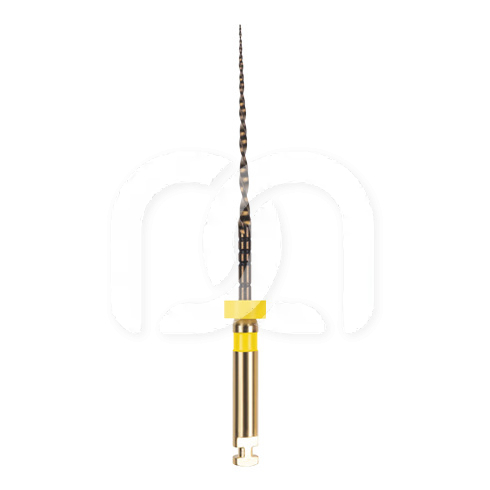 EASY-FILE FLEX STERILE (6)
