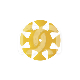 ENDO FLOWER SACHET ACCESS (100) : COULEUR PRINCIPALE:JAUNE