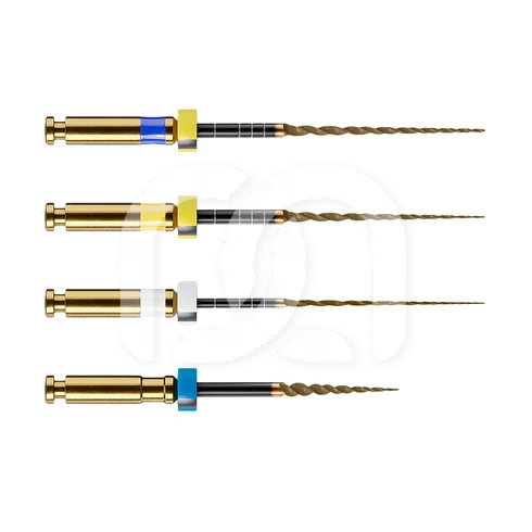 Limes Rotatives HyFlex EDM OGSF Sequence 31 mm (4)