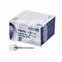 Brossettes Prophy-Brush Cylindriques Normal (50)