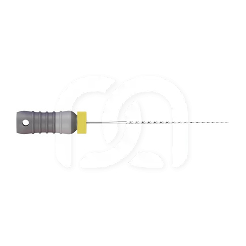 Broches Endodontiques Manuelles Long. 21 mm (6)