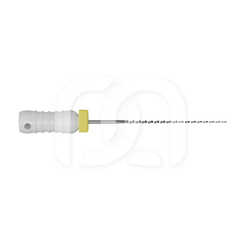 Broches Endodontiques Manuelles Long. 21 mm (6)