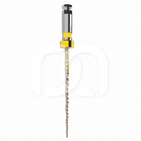 Lime Endodontique Rotative TruNatomy Small 25 mm (6)
