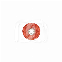SOF-LEX DISCS  (85)