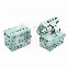 ENDO-CASSETTE MET STERIMETER (32)