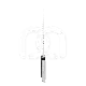 LENTULO (4)
