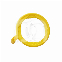 XCP-DS RING - RING - POSTERIOR