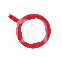 XCP-DS RING - RING - BITEWING