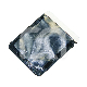 PROTECTIONS VISTASCAN PLUS (100)