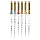 PROTAPER NEXT ASSORTIMENT X1-X3 (6)