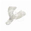 AFDRUKLEPELS (10)