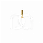 PROTAPER GOLD™ (6)

