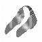 UNICA ANTERIOR (12)
