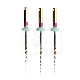 HYFLEX EDM GLIDEPATH FILE (3)